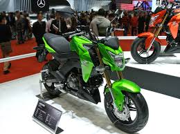 Kawasaki Z125 Pro SE as a Good Motorcycle for a Small Female Beginner?